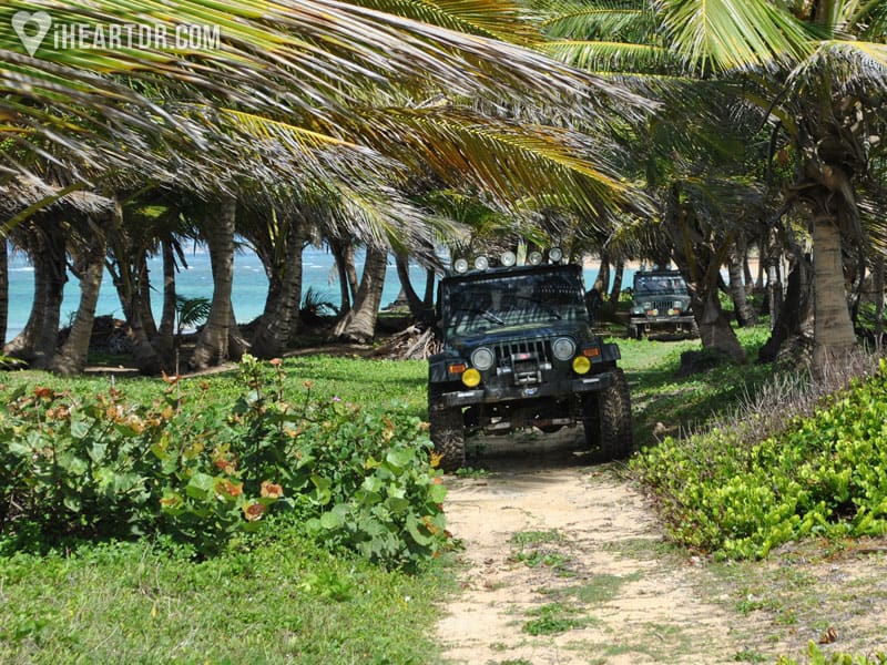 jeep safari tour punta cana